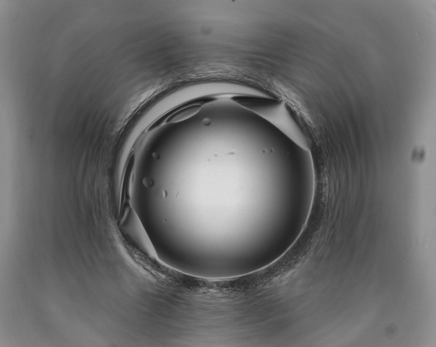 X0000090480538200707201417