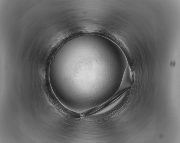 X0000090480539200707201417