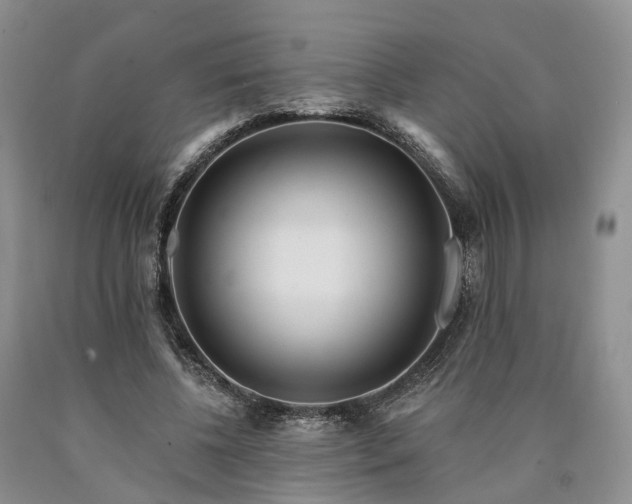 X0000090480540200707201417