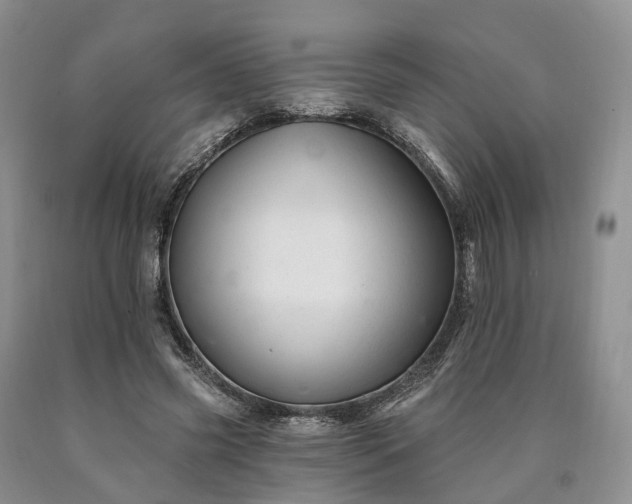 X0000090480541200707201417