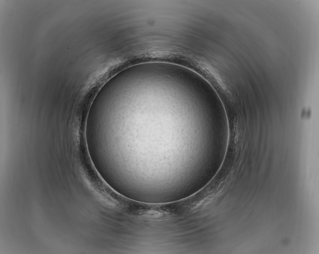 X0000090480542200707201417