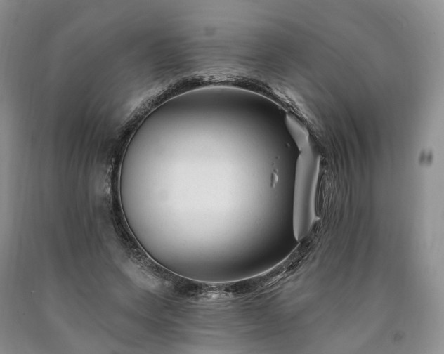 X0000090480543200707201417