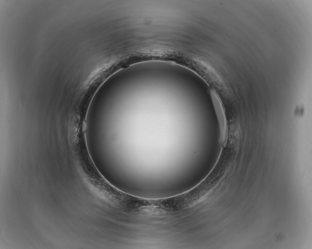 X0000090480544200707201417