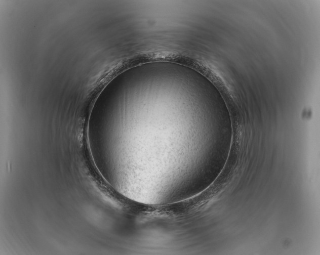 X0000090480545200707201417