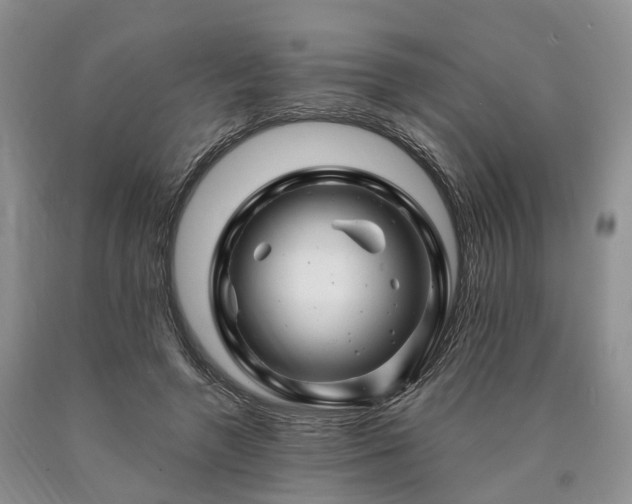 X0000090480546200707201417
