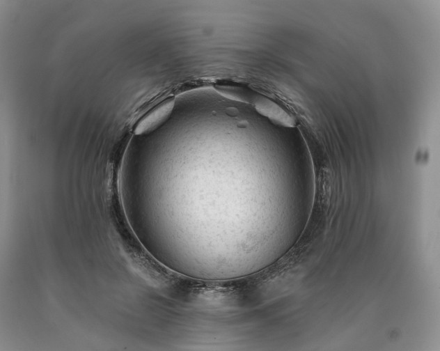 X0000090480550200707201417