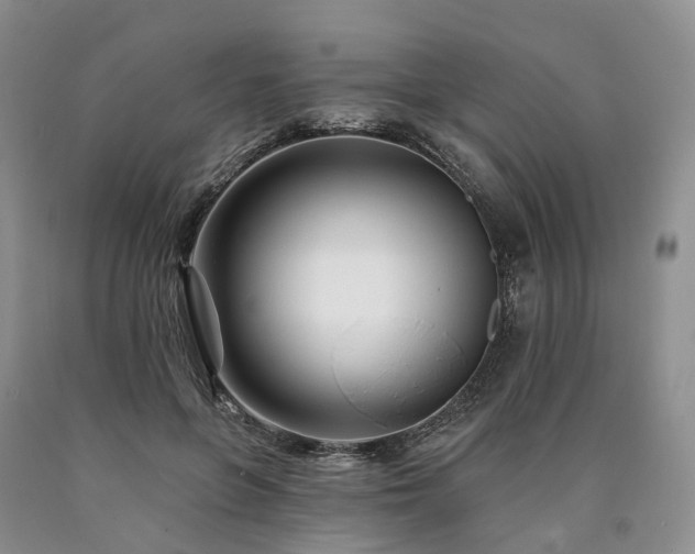 X0000090480551200707201417