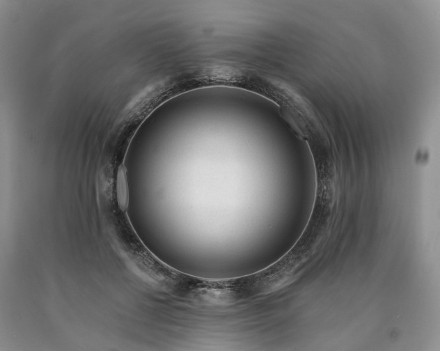X0000090480552200707201417