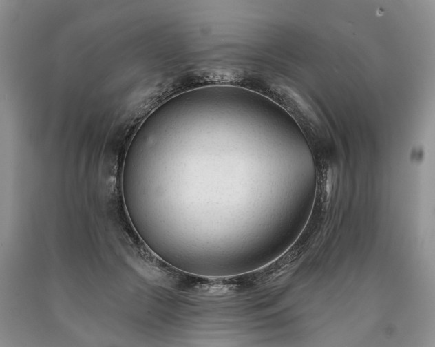 X0000090480553200707201417