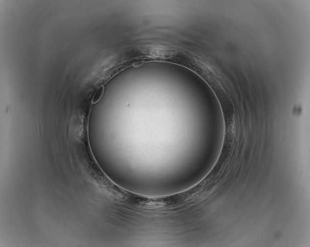 X0000090480554200707201417