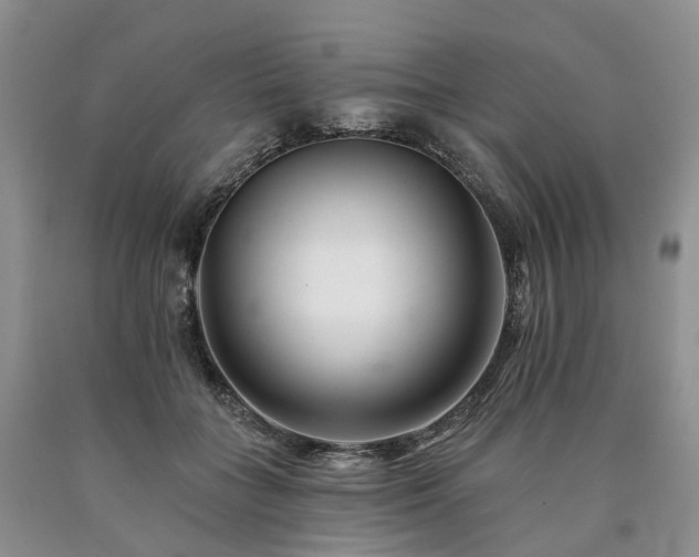 X0000090480555200707201417
