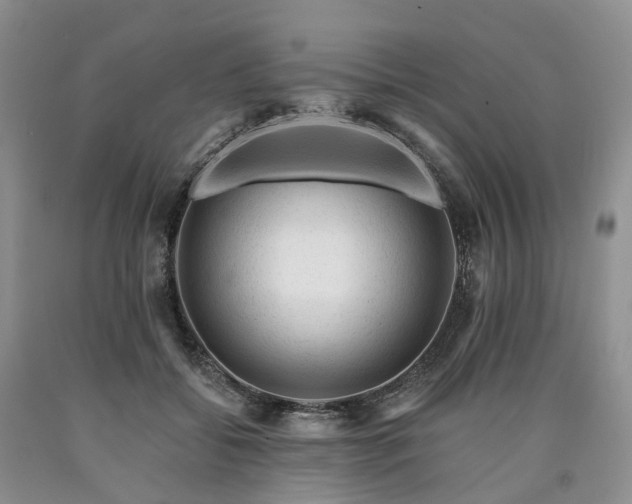 X0000090480556200707201418