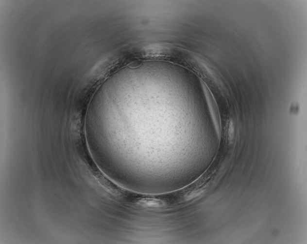 X0000090480557200707201418