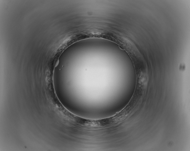 X0000090480559200707201418