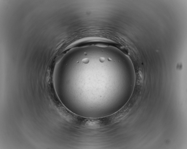 X0000090480560200707201418