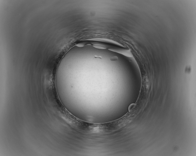 X0000090480564200707201418