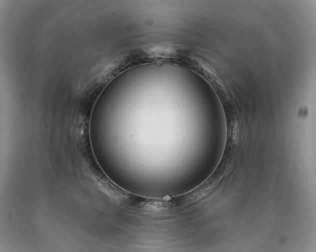 X0000090480567200707201418