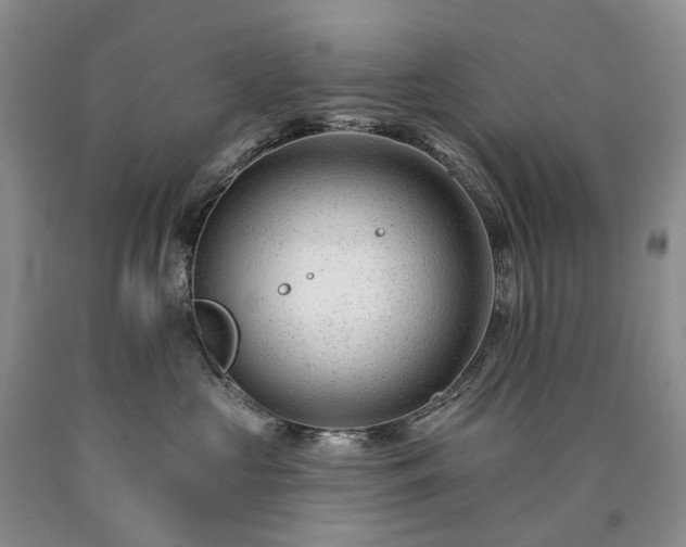 X0000090480573200707201418