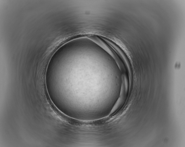 X0000090480577200707201417