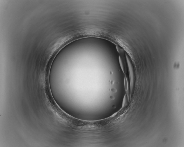 X0000090480578200707201417