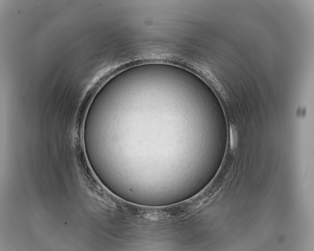 X0000090480579200707201417