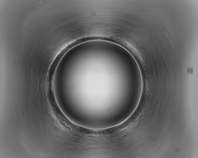 X0000090480580200707201417