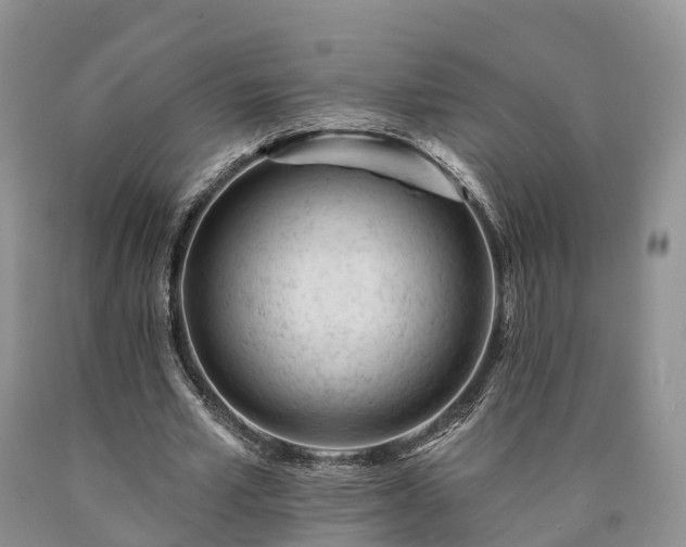 X0000090480581200707201417