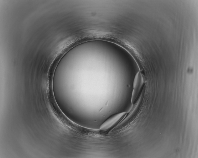 X0000090480582200707201417