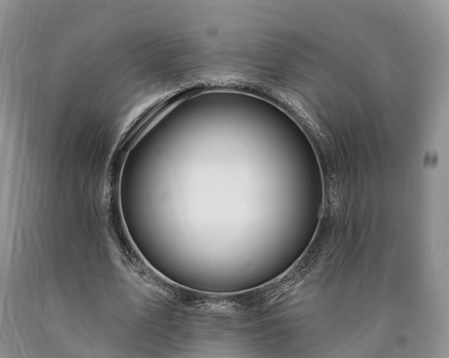 X0000090480583200707201417