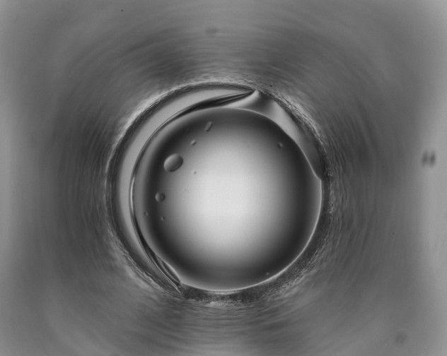 X0000090480584200707201417