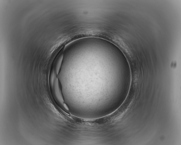 X0000090480585200707201417
