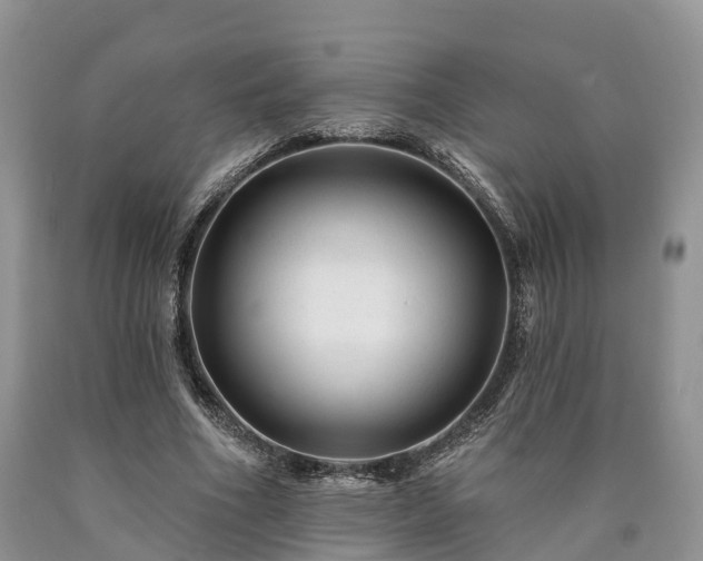 X0000090480586200707201417