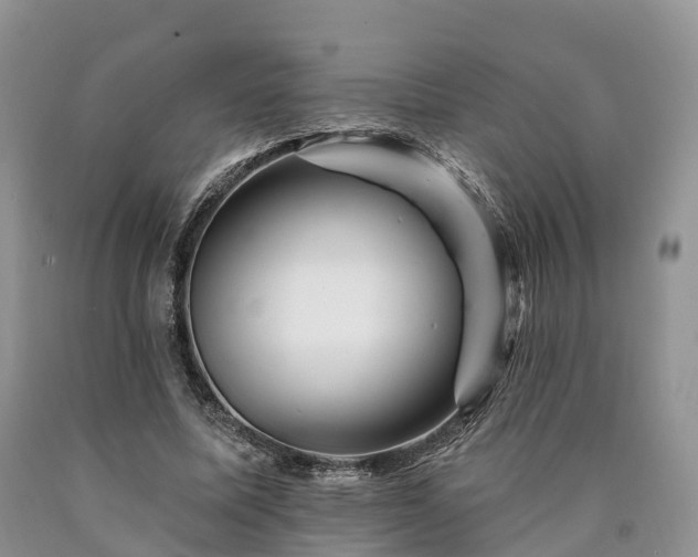X0000090480587200707201417