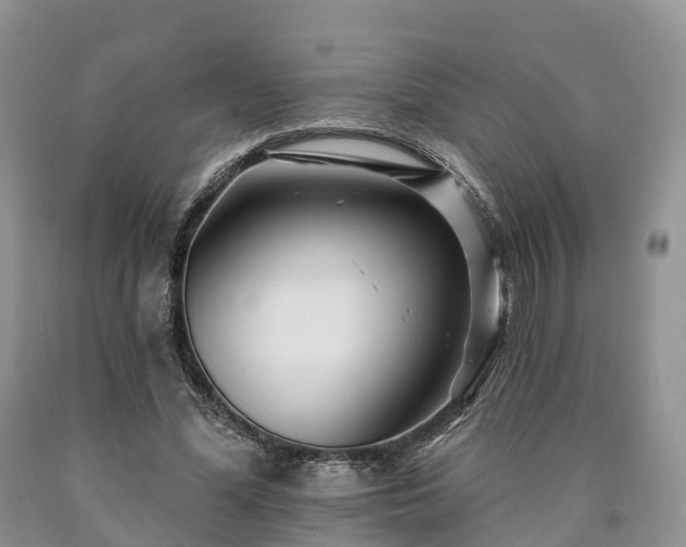 X0000090480588200707201417