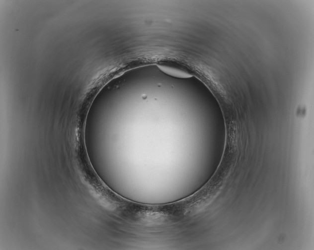 X0000090480590200707201417