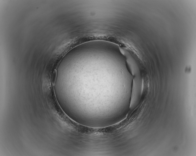 X0000090480593200707201417