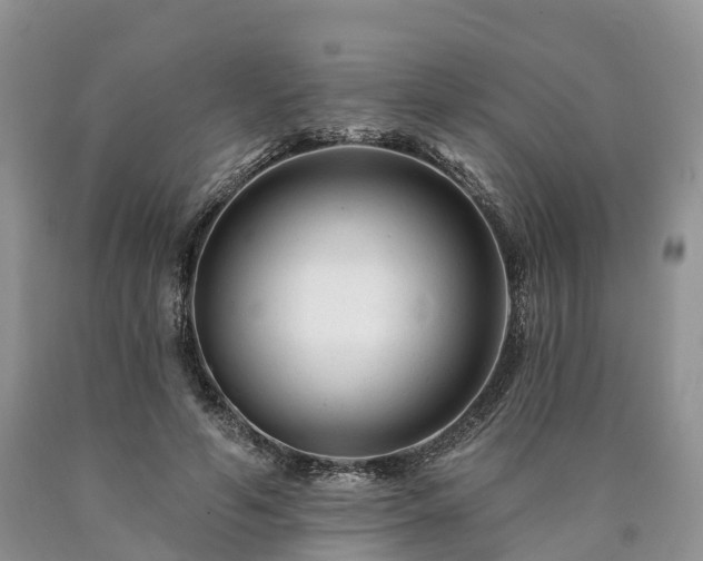 X0000090480594200707201417