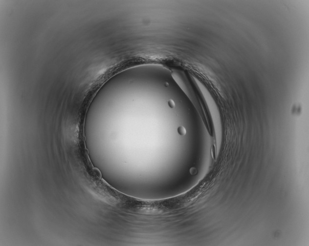 X0000090480596200707201417