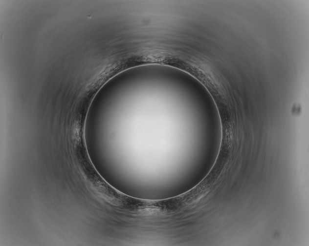 X0000090480598200707201417