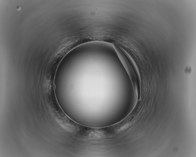 X0000090480599200707201417