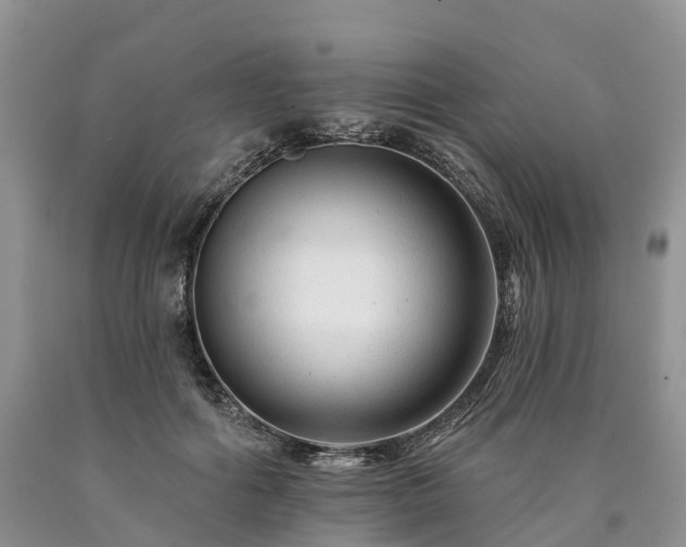 X0000090480602200707201417