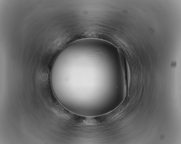 X0000090480603200707201417