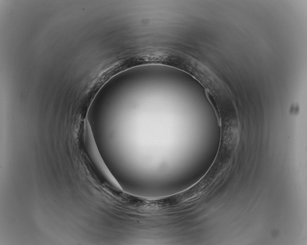 X0000090480604200707201417