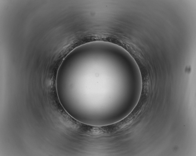 X0000090480608200707201417
