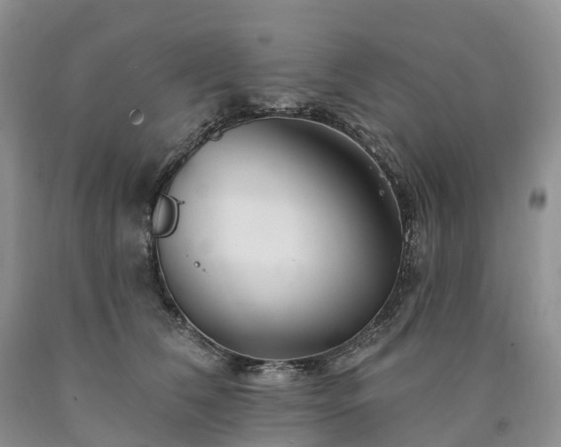 X0000090480612200707201417