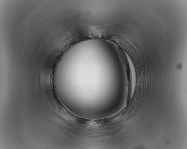 X0000090480616200707201417