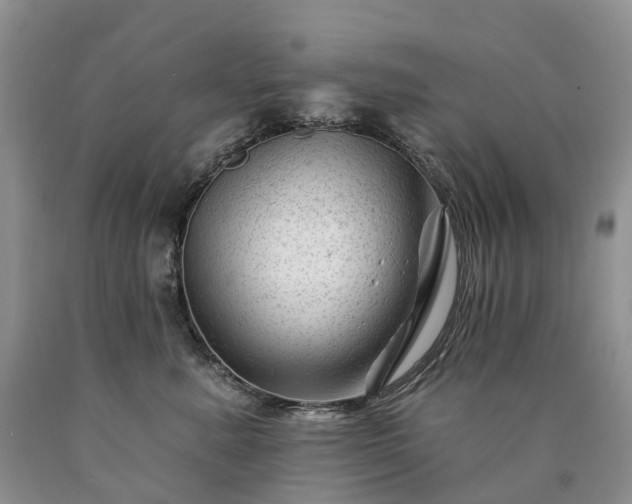 X0000090480619200707201417