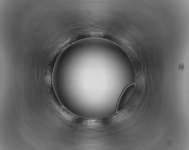 X0000090480622200707201417