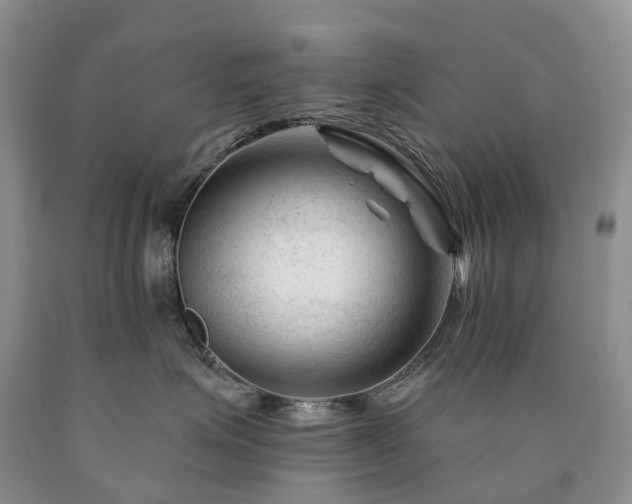 X0000090480623200707201417