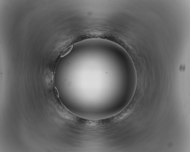 X0000090480624200707201417